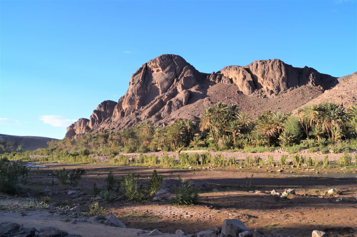 Fint oasis palm grove and settlement beneath rocky hills near Ouarzazate